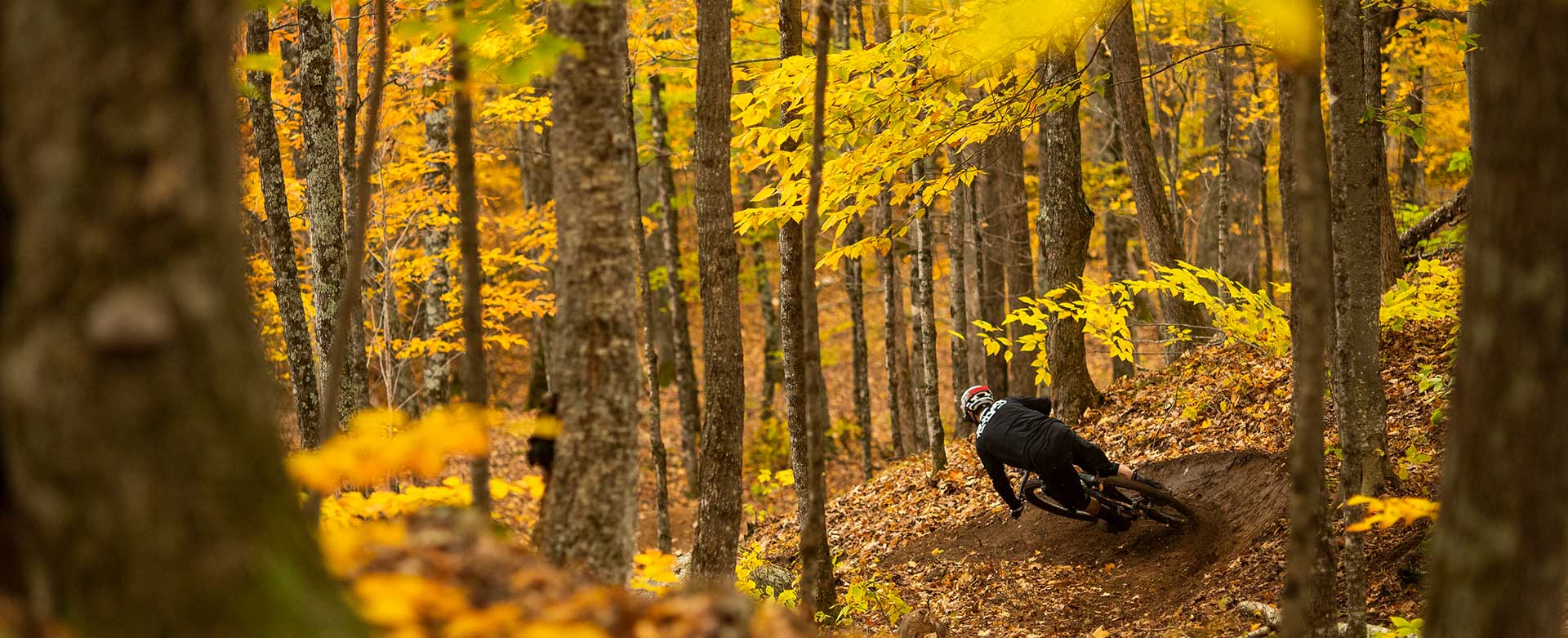 Downhill Bikes